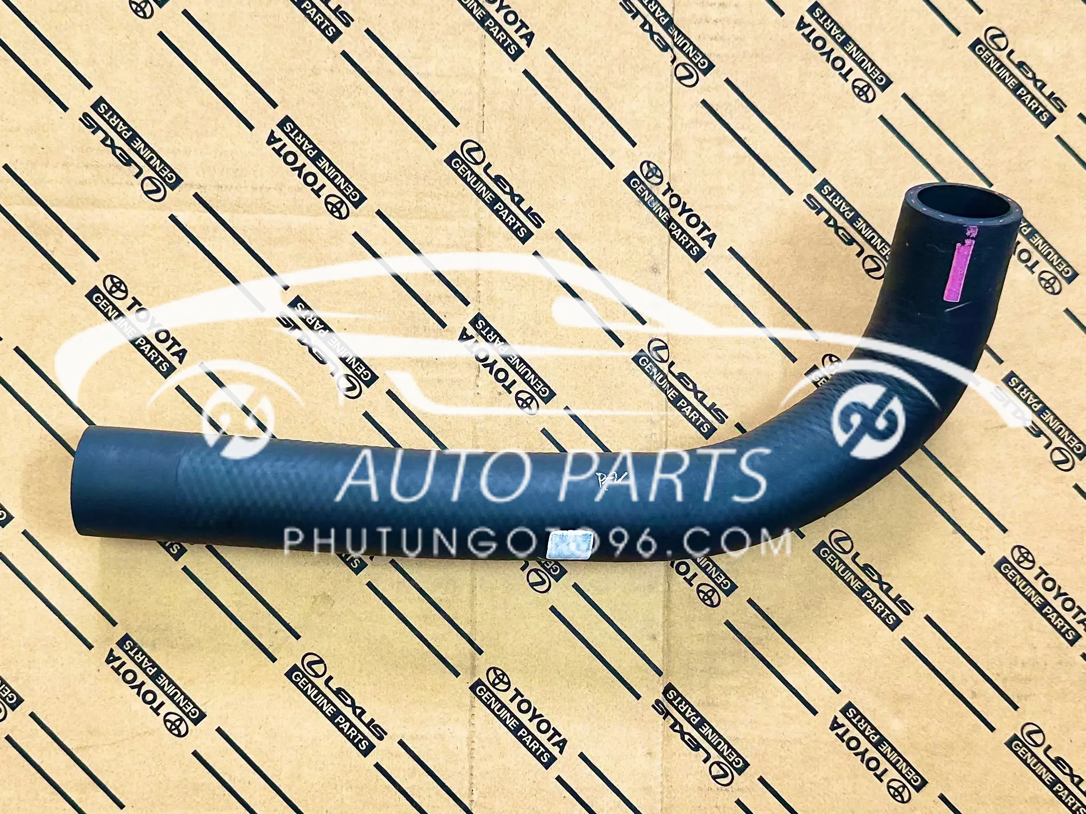 16571-0Y100 Cút nước trên Vios